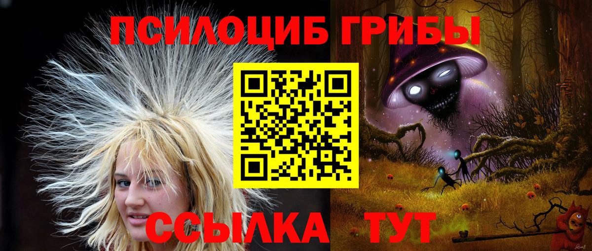 Прохладный  Галлюциногенные грибы MAGIC MUSHROOMS  Псилоцибиновые грибы GOLDEN TEACHER  Вход с VPN 