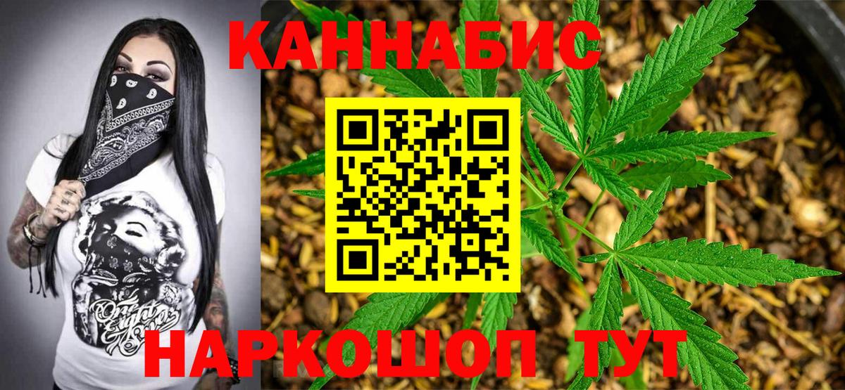 МАРИХУАНА план Прохладный